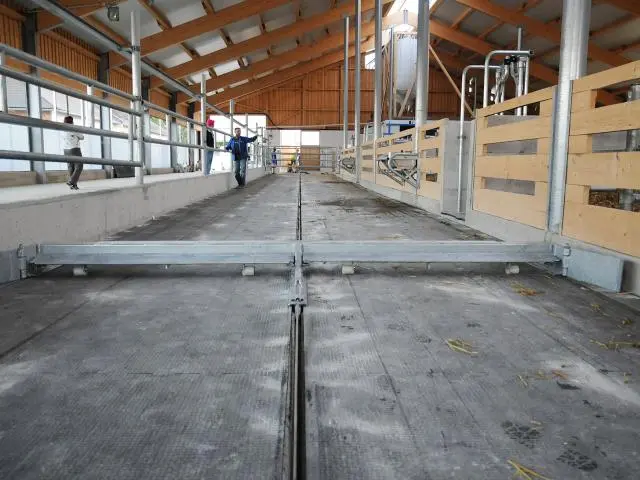 Breitschieber im Stallgang