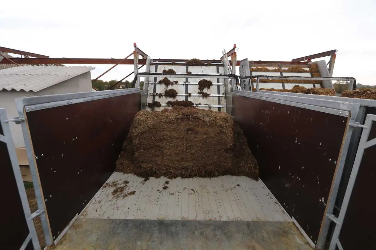 One2Feed Futtermagazin – Futter im Trichter