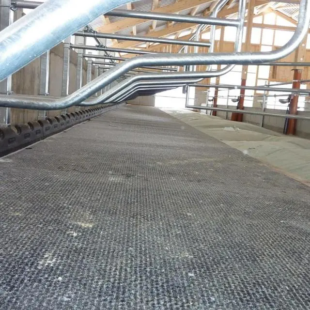Spaltenboden im Stallgang