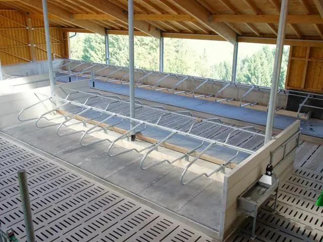 Liegeboxen im geplanten Stallgebäude